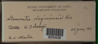 Image Associated With the Occurence